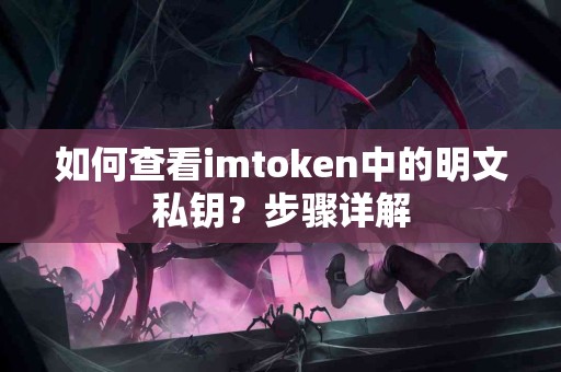 如何查看imtoken中的明文私钥？步骤详解
