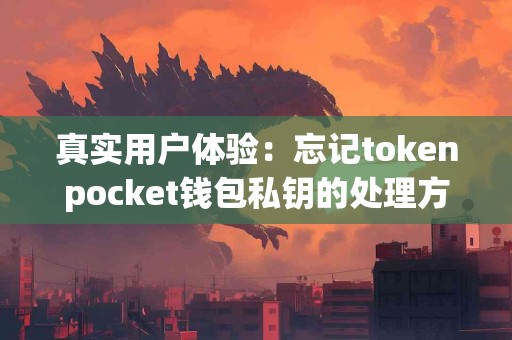 真实用户体验：忘记tokenpocket钱包私钥的处理方法