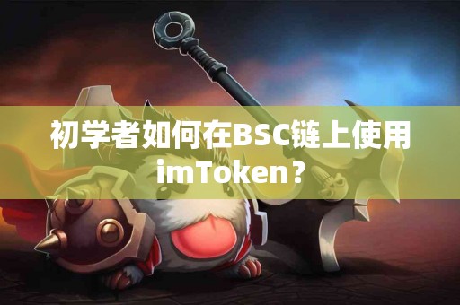初学者如何在BSC链上使用imToken？