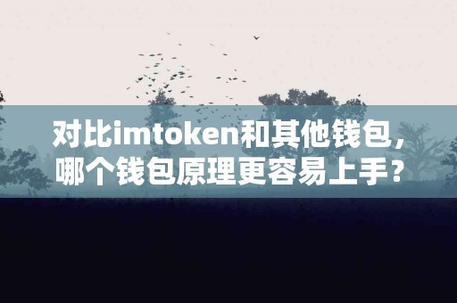 对比imtoken和其他钱包，哪个钱包原理更容易上手？