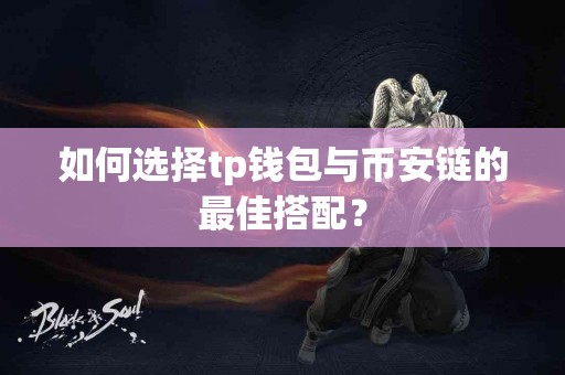 如何选择tp钱包与币安链的最佳搭配？