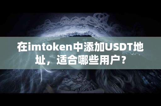 在imtoken中添加USDT地址，适合哪些用户？