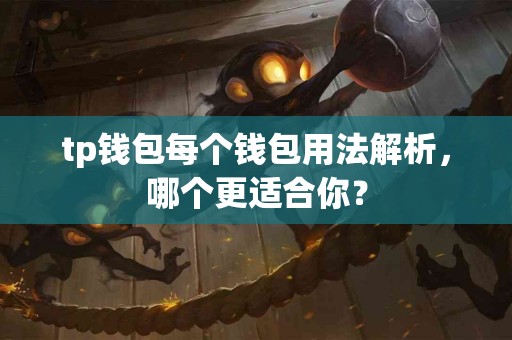 tp钱包每个钱包用法解析，哪个更适合你？