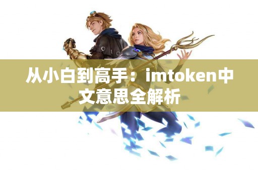 从小白到高手：imtoken中文意思全解析