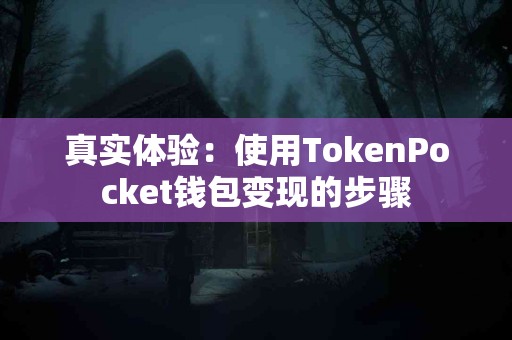 真实体验：使用TokenPocket钱包变现的步骤