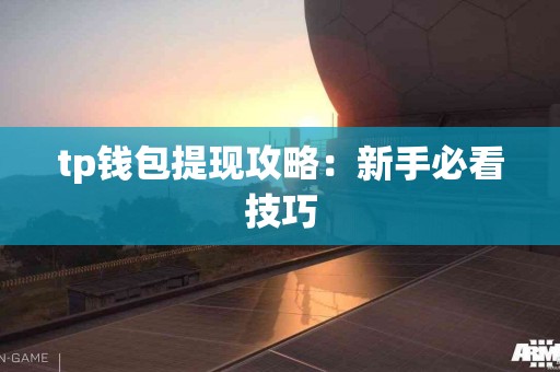 tp钱包提现攻略：新手必看技巧