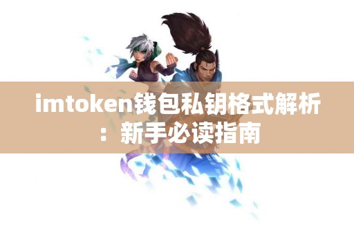 imtoken钱包私钥格式解析：新手必读指南