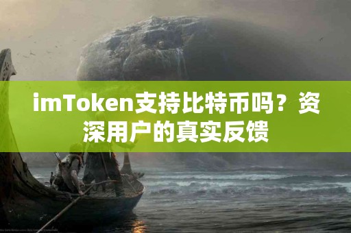 imToken支持比特币吗？资深用户的真实反馈
