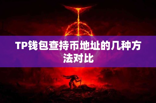 TP钱包查持币地址的几种方法对比