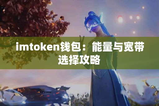 imtoken钱包：能量与宽带选择攻略