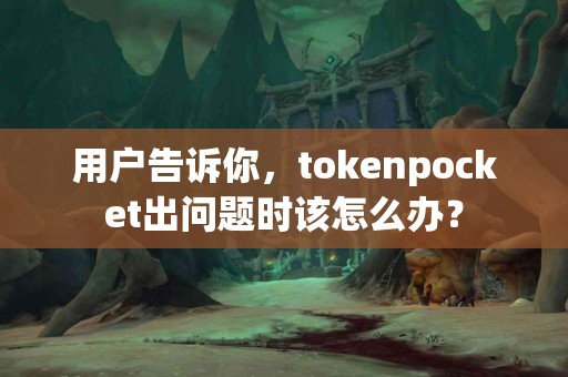 用户告诉你，tokenpocket出问题时该怎么办？