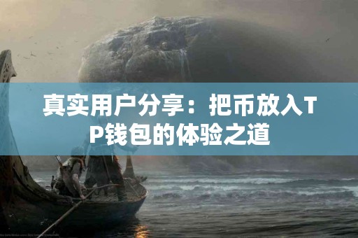 真实用户分享：把币放入TP钱包的体验之道