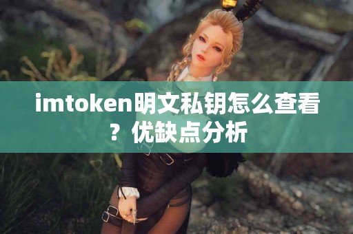 imtoken明文私钥怎么查看？优缺点分析