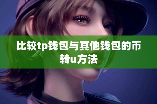 比较tp钱包与其他钱包的币转u方法