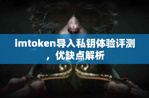 imtoken导入私钥体验评测，优缺点解析