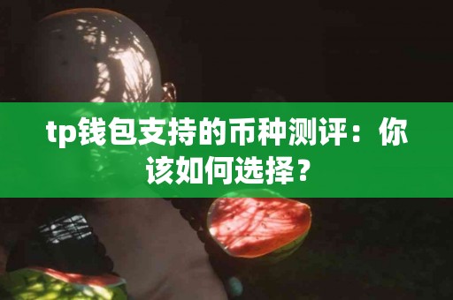 tp钱包支持的币种测评：你该如何选择？